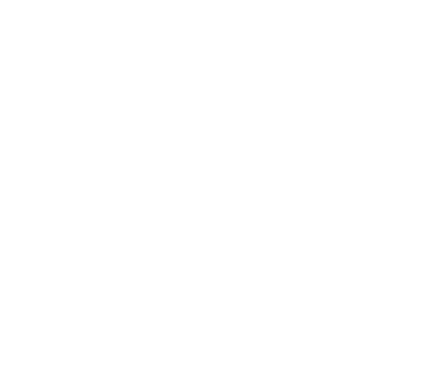 Ibiza